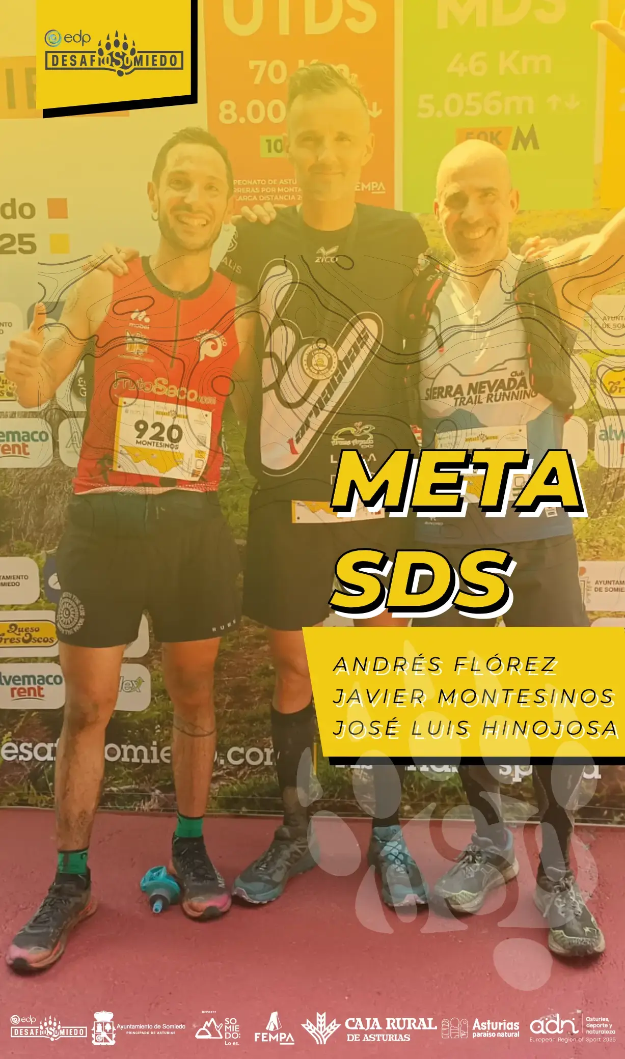 SDS - META